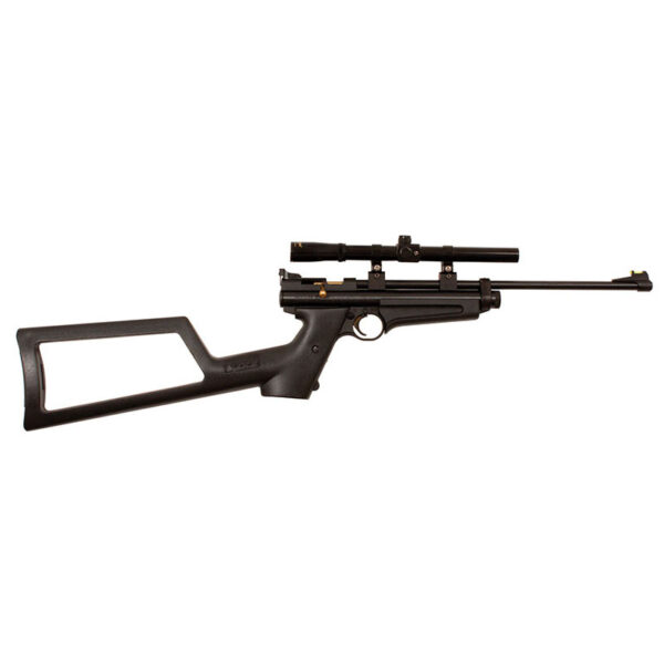 Crosman 2250 "The Ratcatcher"